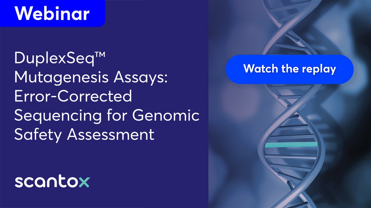 12_Video_Replay_Thumbnail (1280×720)w014