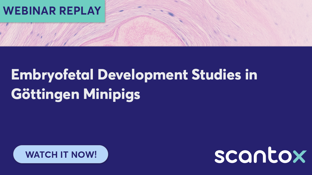 Replay Stream Tile - w011 Replay Stream Tile - w011