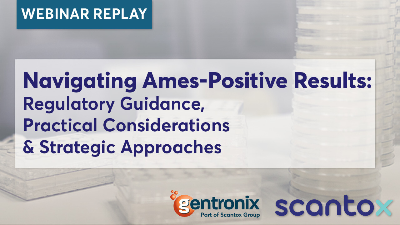 Webinar Replay - w001