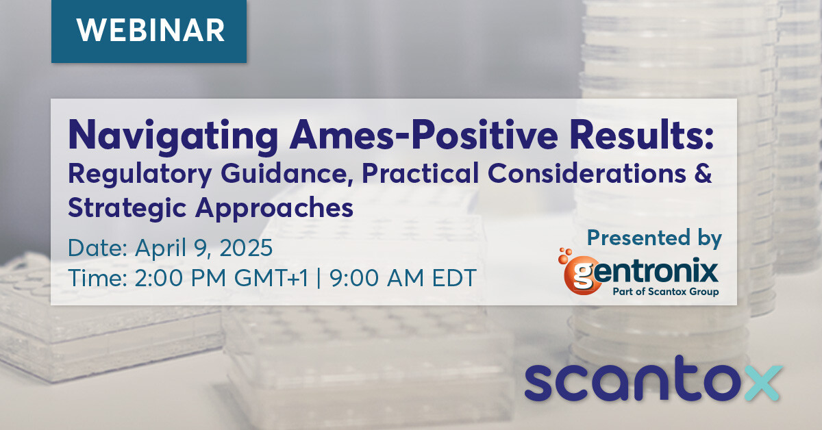 Thank You image - w001w001 Thank You image - w001w001